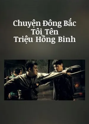 Poster phim Chuyện Đông Bắc: Tôi Tên Triệu Hồng Binh