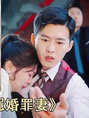 Poster phim Người Vợ Tội Phạm Bí Mật Của Tổng Giám Đốc Cố