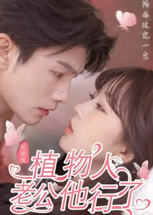 Poster phim Phép Màu Đêm Tân Hôn