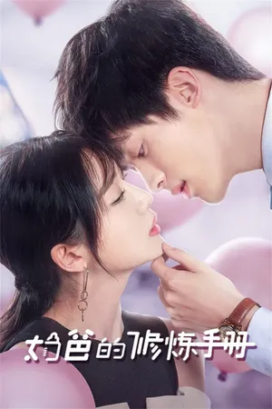 Poster phim Sổ Tay Chăm Con Của Ông Bố Bỉm Sữa