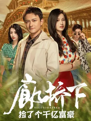 Poster phim Tìm Thấy Tỷ Phú Dưới Cầu